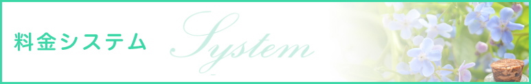 料金システム
